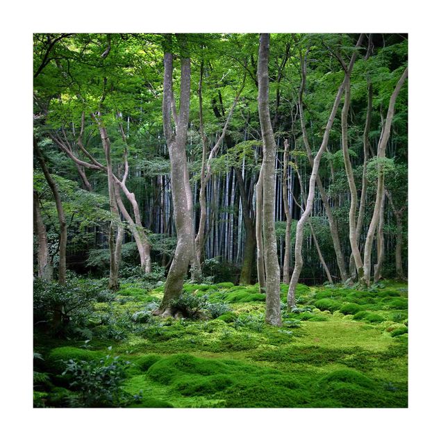 Tappeti verdi Foresta giapponese