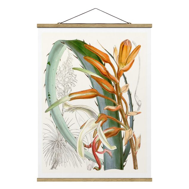 Foto su tessuto da parete con bastone - Illustrazione Vintage Tropical Flowers I - Verticale 4:3
