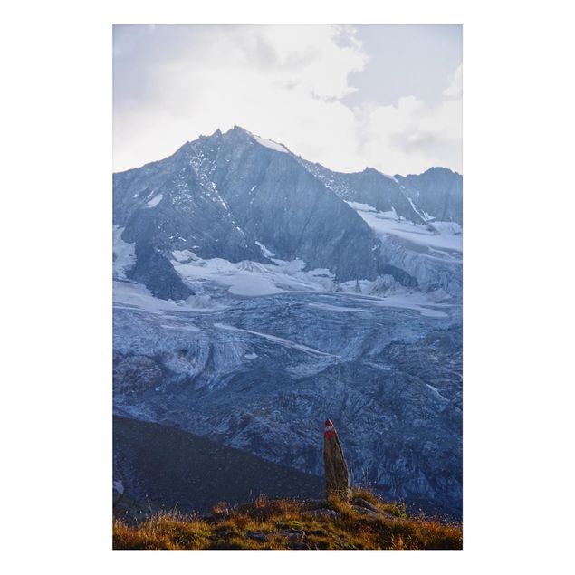 Stampa su alluminio - Sentiero marcato nelle Alpi