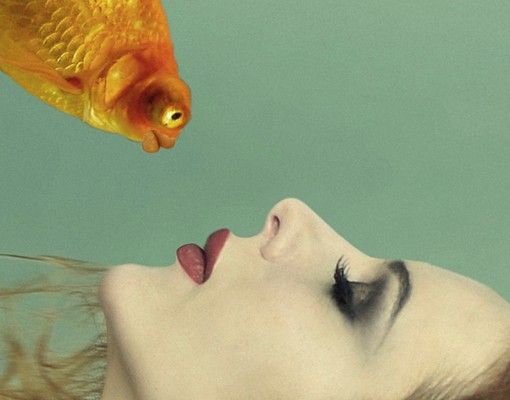 Adesivo per piastrelle - Kiss image of a goldfish
