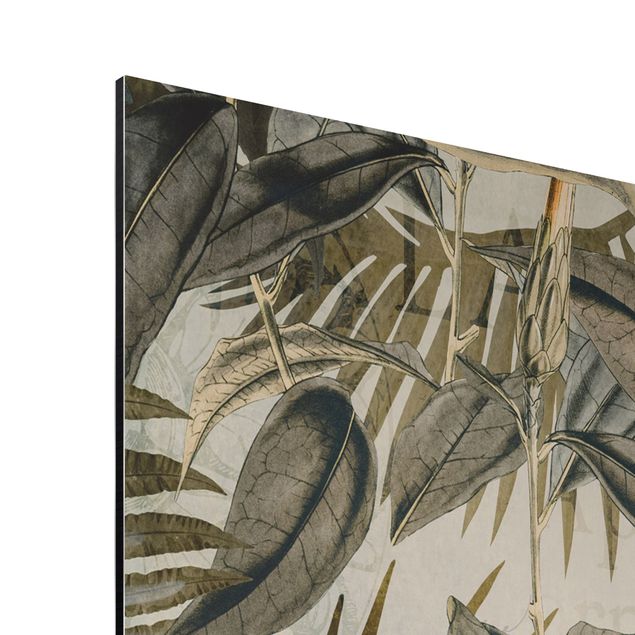 Stampa su alluminio spazzolato - Vintage Collage - Toucan In The Jungle - Verticale 4:3