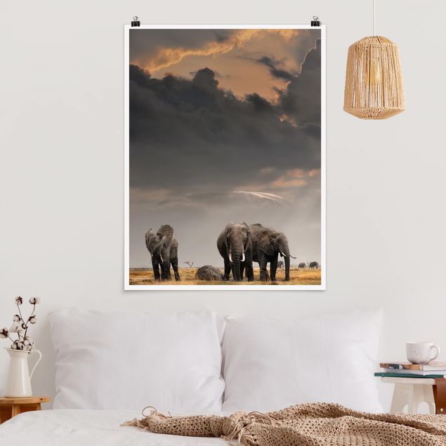 quadri con animali Elefanti nella savana