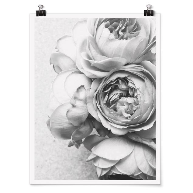Poster - Peony fiori bianchi e nero - Verticale 4:3