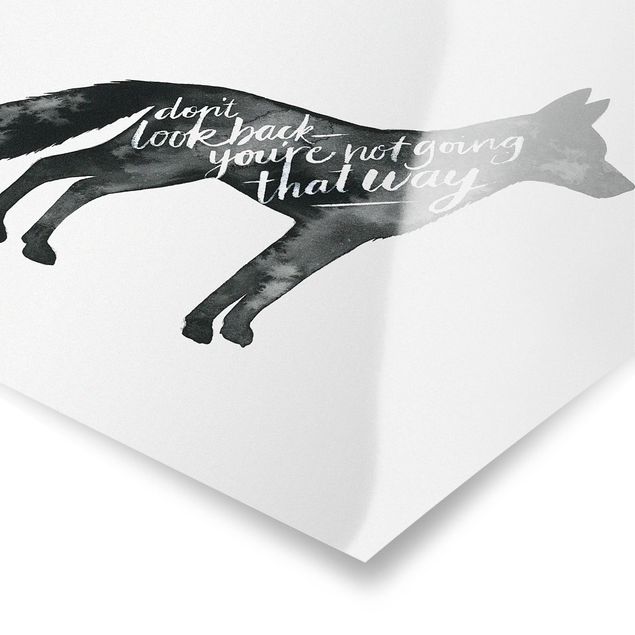 Poster - Animali con la Sapienza - Fox - Quadrato 1:1