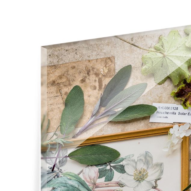 Paraschizzi in vetro - Flowers And Garden Herbs Vintage