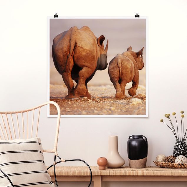 Poster - Wandering Rhinos - Quadrato 1:1