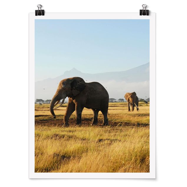 Poster - Elefanti Di Fronte Al Kilimanjaro in Kenya - Verticale 4:3