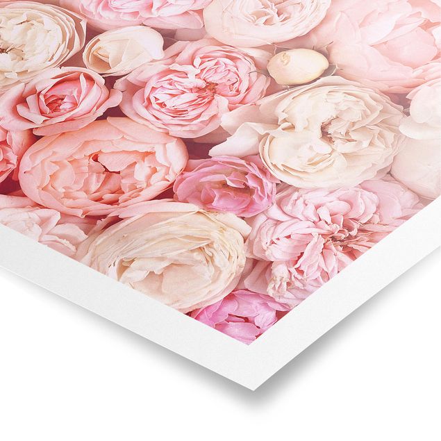 Poster - Rose Rose Coral Shabby - Orizzontale 3:4