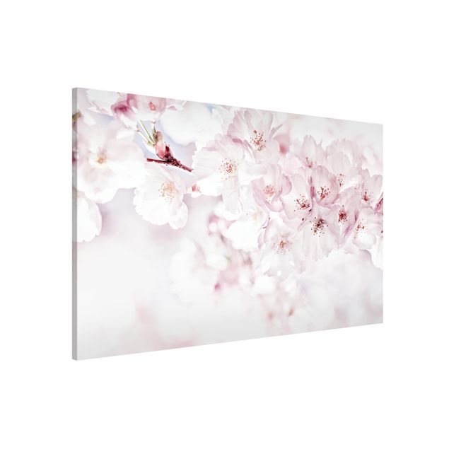 Lavagna magnetica per ufficio Tocco di fiori di ciliegio