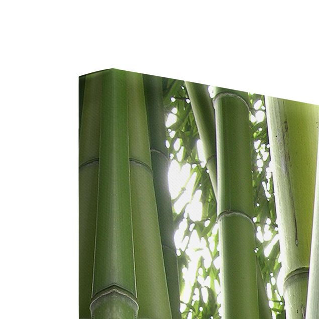 Stampa su tela 3 parti - Bamboo Trees - Trittico