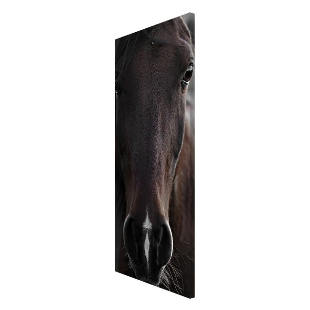 Lavagna magnetica - Cavallo scuro