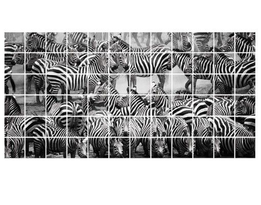 Adesivo per piastrelle - Zebra Herd II