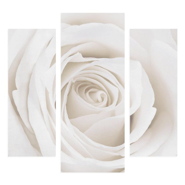 Stampa su tela 3 parti - Pretty White Rose - Trittico da galleria