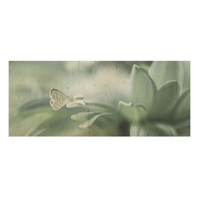 Quadro in legno - Farfalla E Gocce di rugiada In Pastel Verde - Panoramico