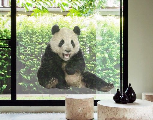 Pellicola per vetri per salone Panda che ride