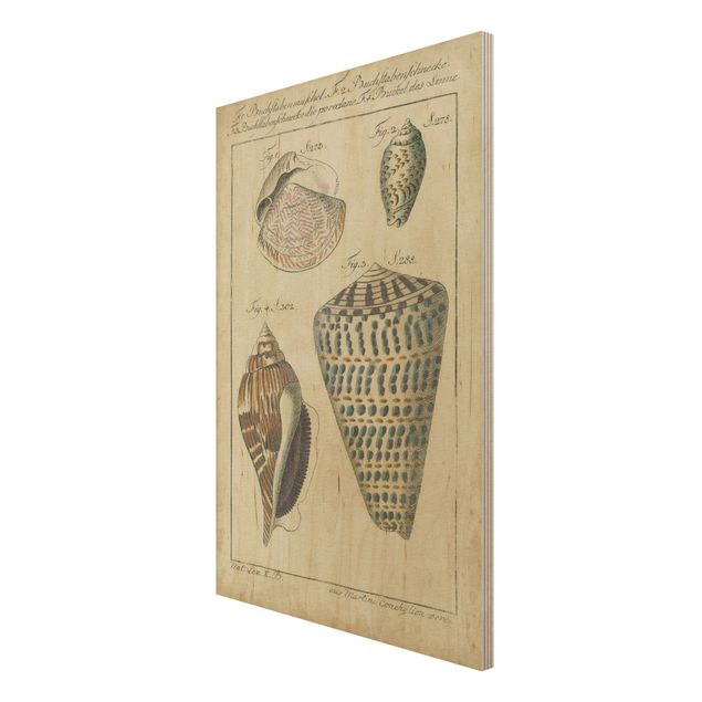 Stampa su legno - Vintage Conch Disegno modella variopinto - Verticale 3:2