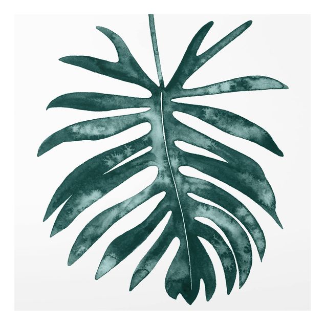 Paraschizzi in vetro - Emerald Philodendron Angustisectum