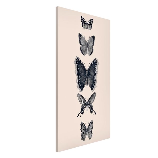 stampe animali Farfalle d'inchiostro su sfondo beige