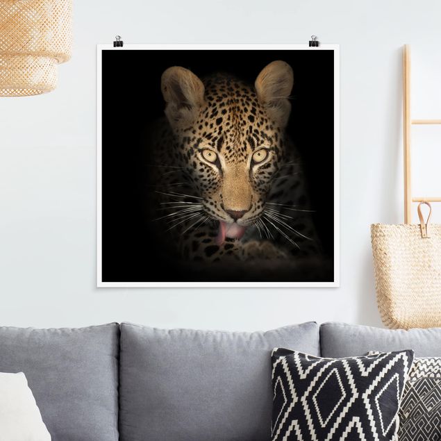 Poster - Riposo Leopard - Quadrato 1:1
