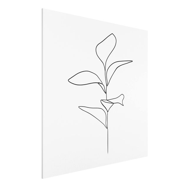 Stampa su Forex - Line Art foglie delle piante Bianco e nero - Quadrato 1:1
