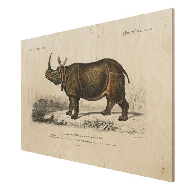 Stampa su legno - Vintage Consiglio Rhino - Orizzontale 2:3