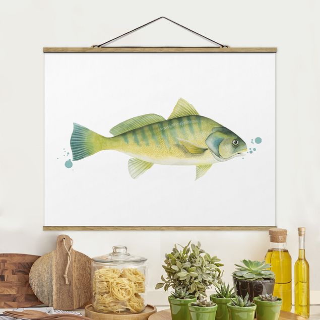 quadri con animali Colore Cattura - Pesce persico