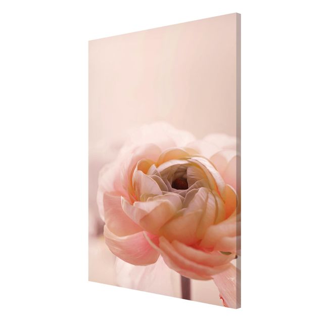 Lavagna magnetica - Focus su fioritura rosa