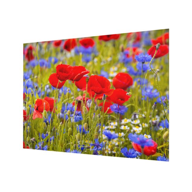 Paraschizzi in vetro - Summer Meadow With Poppies And Cornflowers