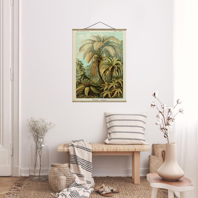 Foto su tessuto da parete con bastone - Botanica illustrazione d'epoca Foglie Felci - Verticale 4:3