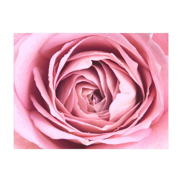 Tappeto rosa cameretta Fiore di rosa rosa