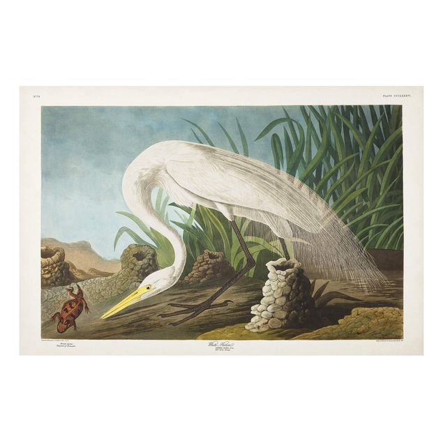 Stampa su Forex - Vintage White Board Heron II - Orizzontale 2:3