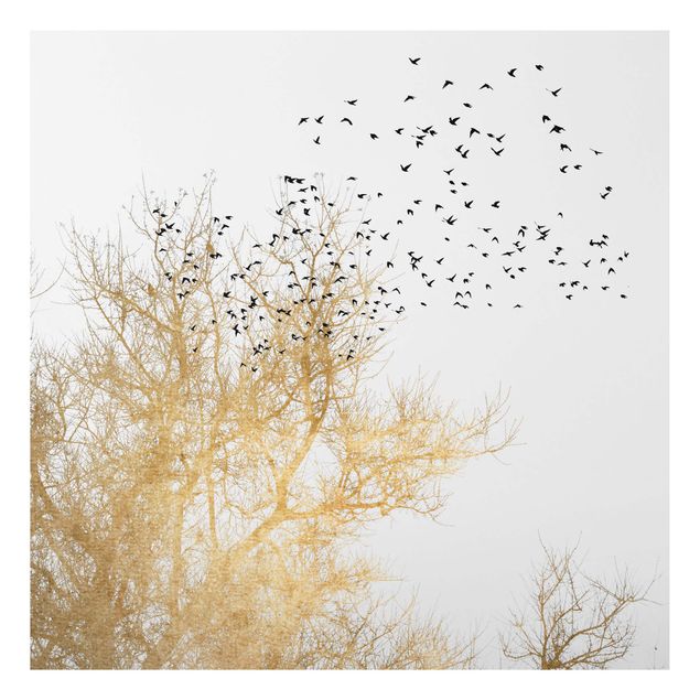 Stampa su alluminio - Stormo di uccelli davanti ad un albero dorato - Quadrato 1:1