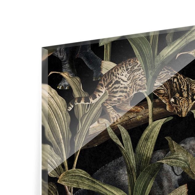 Paraschizzi - Notte tropicale con leopardo