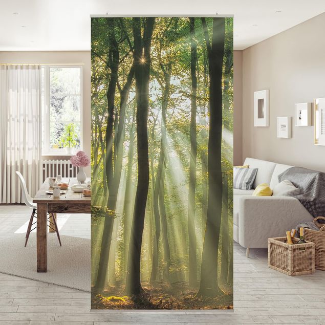 Tenda a pannello - Sunny Day in the Forest - 250x120cm