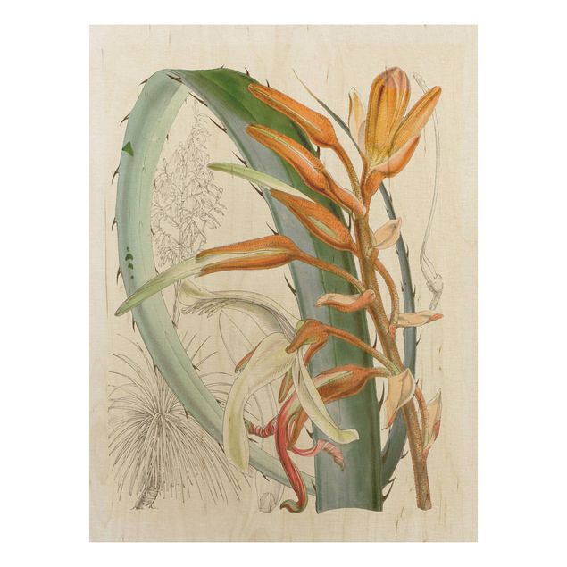 Stampa su legno - Illustrazione Vintage Tropical Flowers I - Verticale 4:3