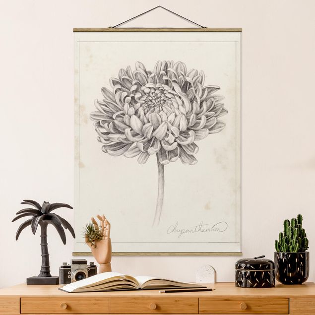 Foto su tessuto da parete con bastone - Botanical Study II Crisantemo - Verticale 4:3