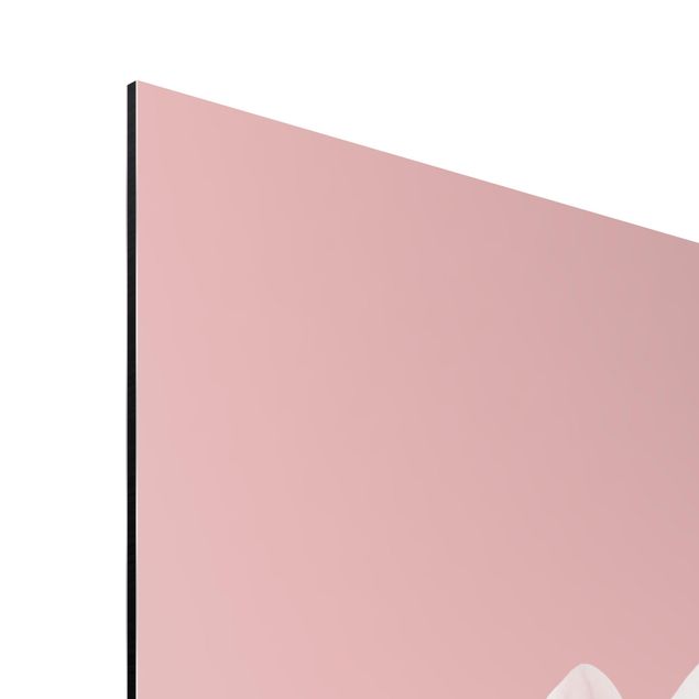 Stampa su alluminio - Dalia centrata in fard rosa
