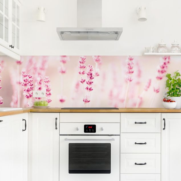 Rivestimenti cucina moderni Lavanda rosa pallido