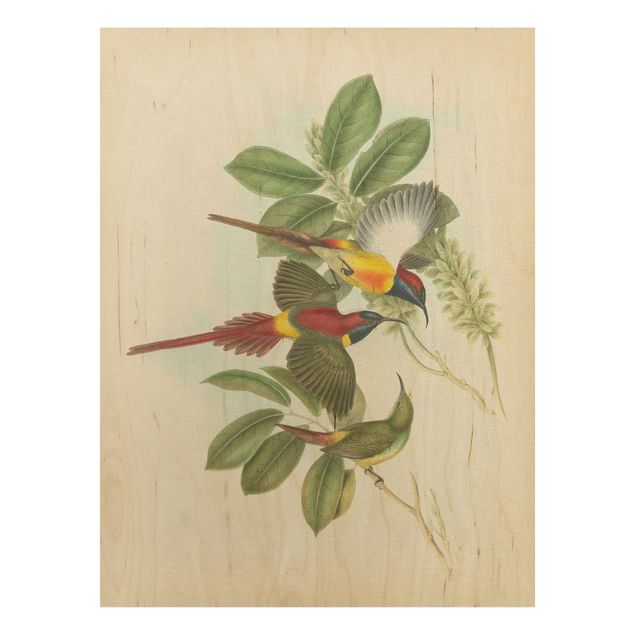 Stampa su legno - Illustrazione Vintage Tropical Birds III - Verticale 4:3