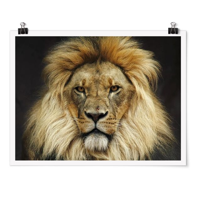 Poster - Wisdom Of Lion - Orizzontale 3:4