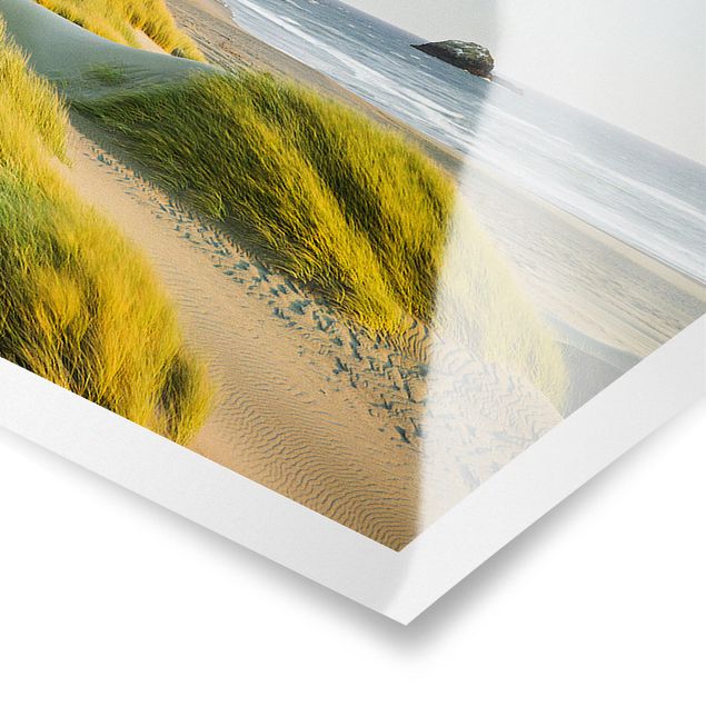 Poster - Dune ed erbe Al Mare - Panorama formato orizzontale