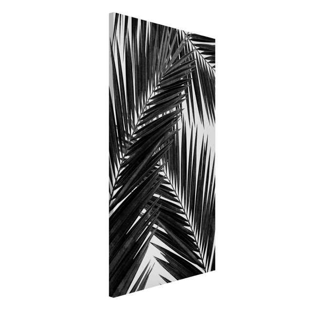 Lavagna magnetica per ufficio Vista sulle foglie di palma in bianco e nero