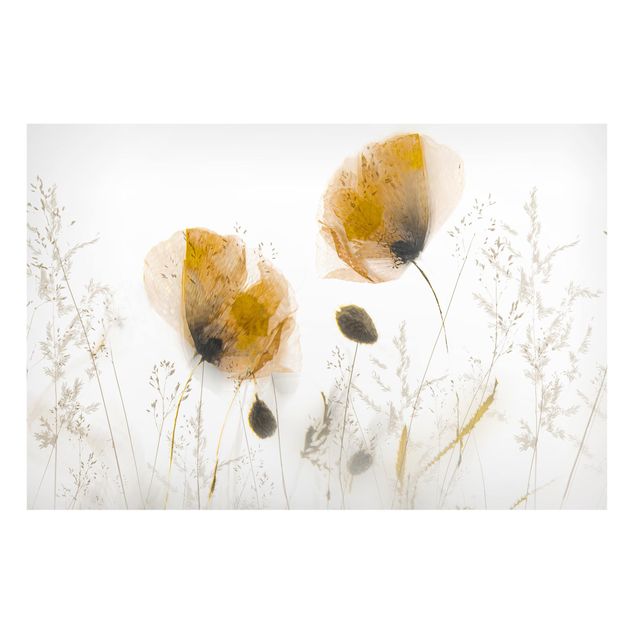 Lavagna magnetica bianco Fiori di papavero ed erbe delicate in una nebbia soffice