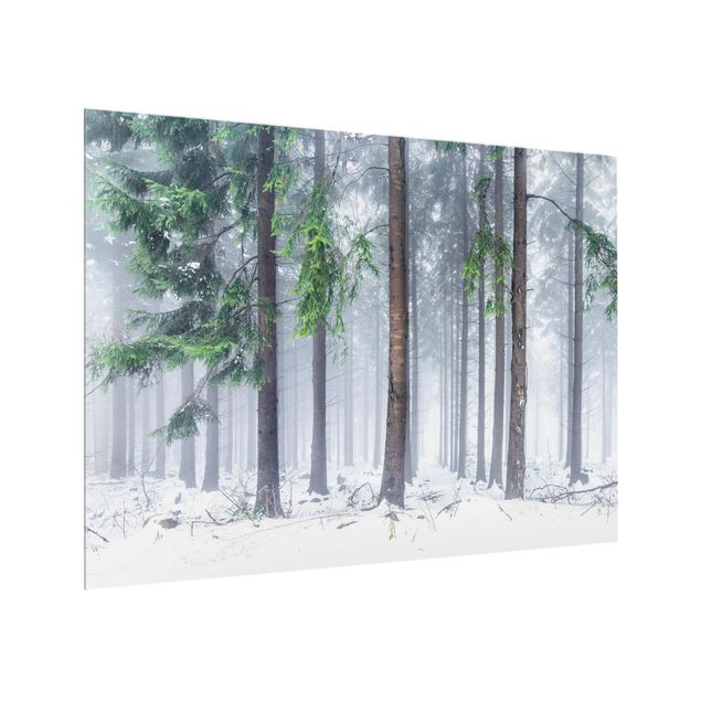 Paraschizzi in vetro - Conifere d'inverno - Formato orizzontale 4:3