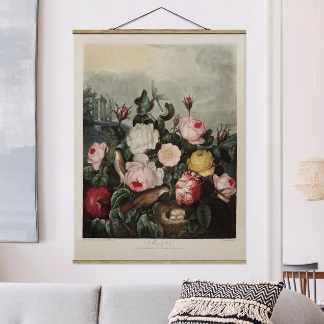 Foto su tessuto da parete con bastone - Botanica Vintage Illustrazione di rose - Verticale 4:3