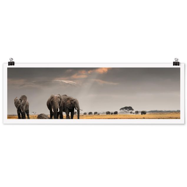 Poster - Elephant Savanna - Panorama formato orizzontale