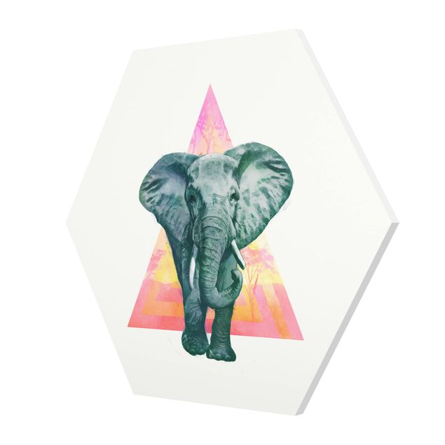 Esagono in forex - Illustrazione Elephant anteriore Triangolo Pittura