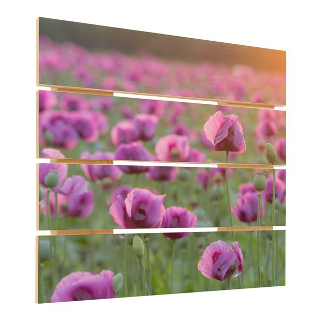 Stampa su legno - Viola di papavero Fiore prato in primavera - Quadrato 1:1