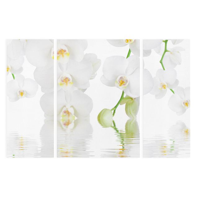 Stampa su tela 3 parti - Wellness Orchid - White Orchid - Trittico