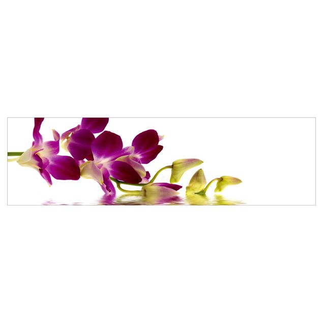 Rivestimento cucina - Orchidea rosa sull'acqua